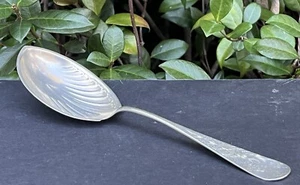 Cuchara de conservación concha festoneada de plata de ley Whiting lirio antiguo grabado - Imagen 1 de 20