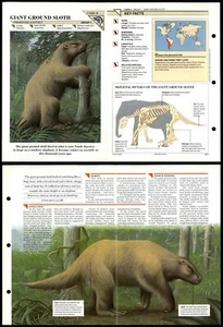 Giant Ground Sloth #4 Extinct Wildlife Fact File Fold-Out Card - Picture 1 of 1