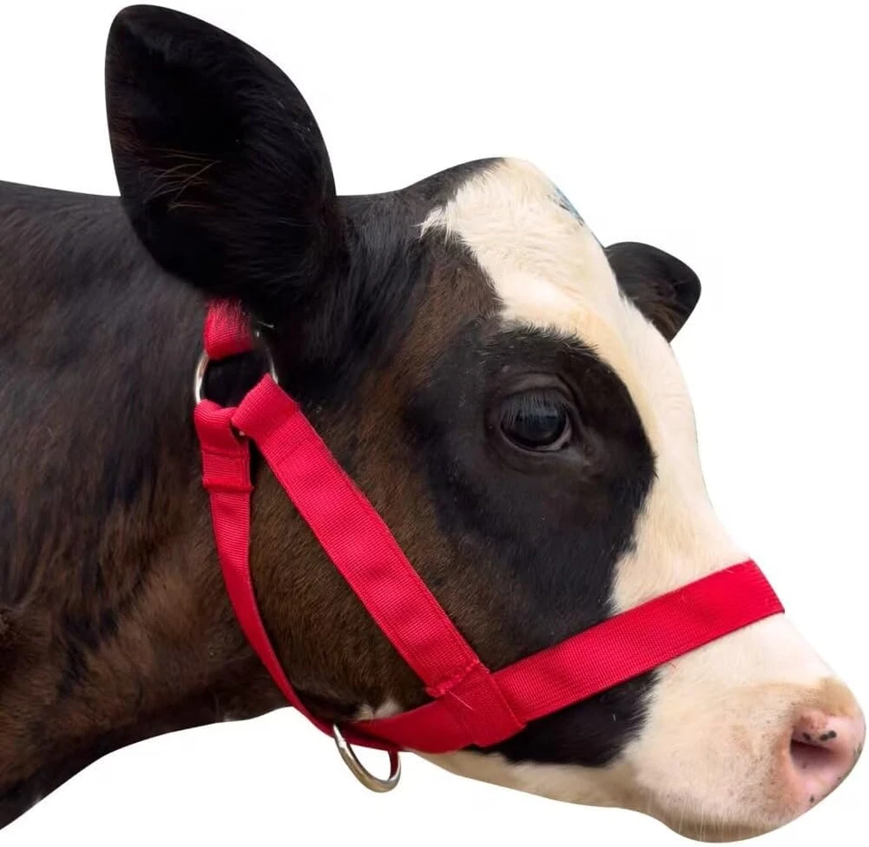 perixir Cow Halter Cattle Halters Calf Halter，Adjustable Nylon Livestock Catt... - image 1 of 1