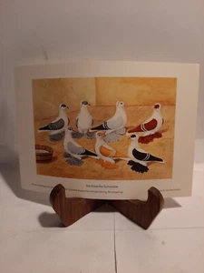 RARO!  Impresión de paloma a color golondrina sajona C. Witzman artista Alemania - Imagen 1 de 2