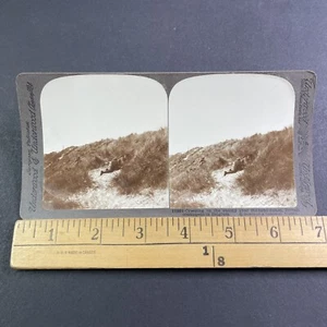 Soldados británicos inmovilizados por tropas alemanas Stereoview Primera Guerra Mundial antiguo c1918 Y4609 - Imagen 1 de 5