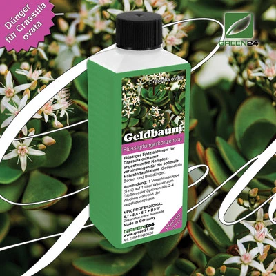 Geldbaum-Dünger, Crassula ovata Flüssigdünger für den Pfennigbaum 250ml - Bild 1 von 4