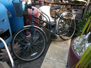Dawes Steel Women Bikes for sale | eBay