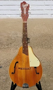 1940's Silvertone Mandolin w/HSC! -LL - Picture 1 of 10