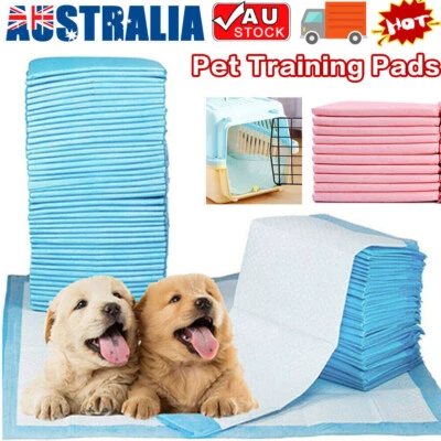 Pet Training Pads 400/200PCS Puppy Dog Toilet Pee Indoor Super Absorbent 60x60cm - image 1 of 4