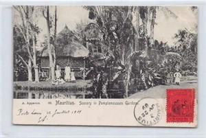 Mauritius - Landschaft in Grapefruitgärten - Verlag. A. Appavou - Bild 1 von 2