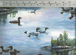 Elizabeth's Studio~ Realistic Loons Rural Lake ~ 100% Cotton Quilt Fabric BTY - Picture 1 of 1