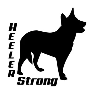 Australian Cattle Dog Heeler starker Aufkleber #1 5"x5" Farbe wählbar - Bild 1 von 2