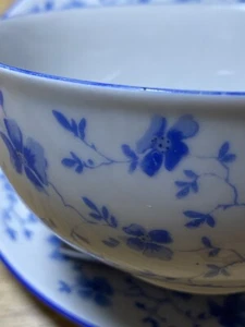 Arzberg „Blaublüte“, Hell Blau!!  nicht Dunkelblau!! , dieses Foto Ist Falsch! - Bild 1 von 5