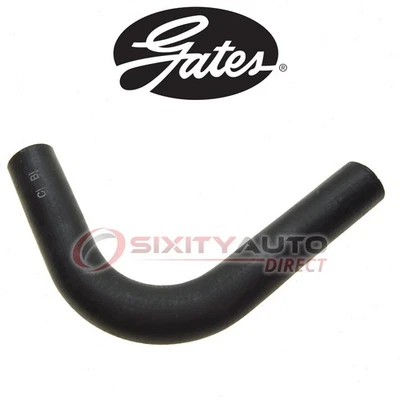 Gates Lower Radiator Coolant Hose for 1953 Fargo FP1 Panel Delivery 3.6L L6 in Foto 1 de 4