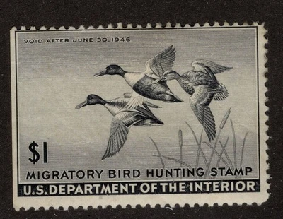 US Scott RW12 Mint Hinged Straight Edge CV 40$ - Image 1 of 2