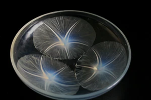 RENE LALIQUE VOLUBILIS OPALESCENT GLASS BOWL - CIRCA 1921 - Picture 1 of 4