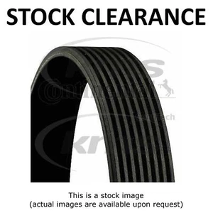 STOCK CLEARANCE POLYBELT FOR W140 3.2 91- (-AC) 8PK2337 - Picture 1 of 3