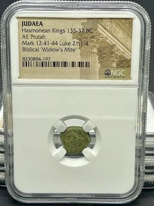 Judea bíblica “Viudas poderosas” 135 a 37 a.C. NGC autenticado - Imagen 1 de 2