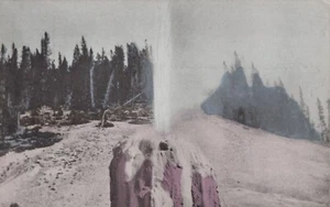 Postal Lone Star Geyser Yellowstone Park Wyoming WY - Imagen 1 de 2