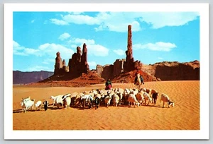 Postcard Navajo Women Taking Their Sheep To Water In Beautiful Monument Valley - Picture 1 of 2