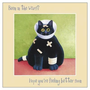 'In the Wars' cat themed single card,blank, Get Well Soon - Picture 1 of 3