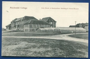 Cartolina Macdonald College Quebec Canada bestiame e orticoltura Bldg - Foto 1 di 2