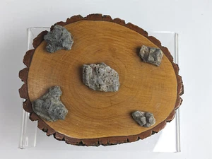 Vintage Mounted Twinned Staurolite Crystals In Matrix from Gilmer Co. GA - Bild 1 von 8