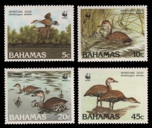 Bahamas 1988 - Mi-N.o 672-675 ** - Estampillada sin montar o nunca montada - Pájaros / Pájaros - Imagen 1 de 1