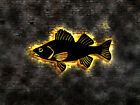 Zander fish sticker bait book angler wobbler predatory fish bait neon sign