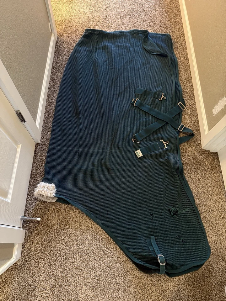 Saxon Knitted Horse Cooler Blue Green Plaid Woven 78 - Imagem 1 de 4