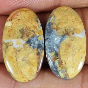 Coppia pietre preziose cabochon ovali 23,85 Cts 13x23x3 mm diaspro maligano naturale ts4 - Foto 1 di 6