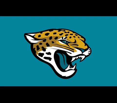 Jacksonville Pro Football Team Flag 3 x 5 Tailgate Flag Mancave Football Banner Cover