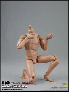 COOMODEL 1:6 Man Body Figure Standard Narrow Shoulder Male Doll DIY Part Toy - Picture 1 of 6