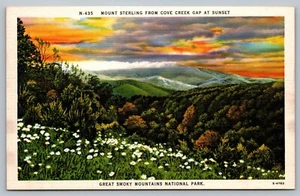 Postkarte Mount Sterling von Cove Creek Gap Great Smoky Mountains Nationalpark - Bild 1 von 2