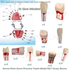 Bloques de estudio de ECA modelo de dientes de práctica de conducto radicular dental para Nissin Kilgore 200 - Imagen 1 de 90