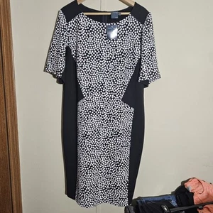 NWT Gabby Skye Plus Size Dress, Size 14W. Black & White Polka Dot, Zipper Back - Picture 1 of 5