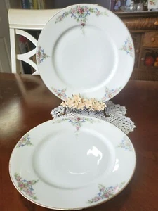 PT Bavaria Tirschenreuth 8.5" Plates c1927 THE ETON Set of 7 Floral on White - Picture 1 of 10