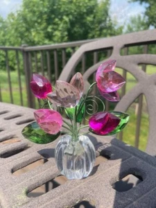 Ganz Tulpen Posey Topf - Bild 1 von 1
