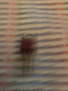 SC146B / ECG5633/ ORIGINAL / RCA / TRANSISTOR / 1 PIECES / (qzty) - Picture 1 of 1