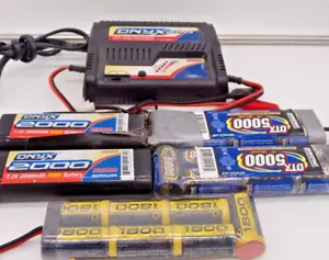 Duratrax Onyx 200 AC/DC Sport Peak Battery Charger NiCd NiMH With Misc Batteries - Picture 1 of 9