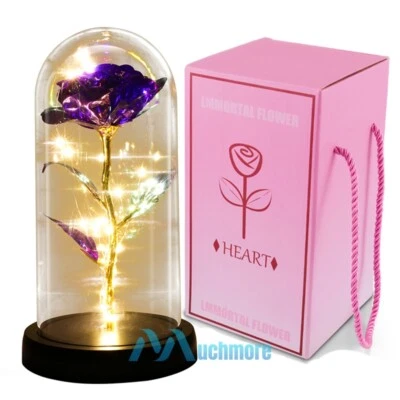 Lámpara cúpula de vidrio enchapada en oro de 24K con flor de rosa sumergida regalo romántico para mamá niña Foto 1 de 4