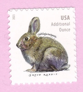 2021 BRUSH RABBIT STAMP BUNNY "ADDITIONAL OUNCE" FOREVER USA WILDLIFE ANIMAL MNH - Picture 1 of 1