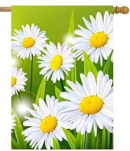 Spring Summer Seasonal Floral flowers Daisies House Flag 28 x 40 Inch, Double... - Picture 1 of 6