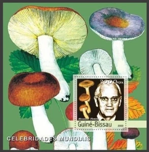 Guinea Bissau 2003 MNH MS, Fleming, Nobel Prize Medicine, Mushrooms - Imagen 1 de 1