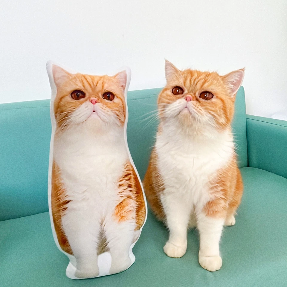 Custom Cat Pillow,Personalized Dog Cushion, Pet Plush Toy,Custom Birthday Gift - Image 1 of 4