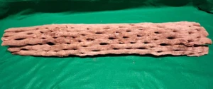 Saguaro Cactus Skeleton Half Piece Craft Home Decor Long Large Piece - Picture 1 of 8