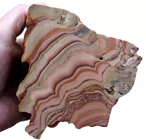rle TRAVERTINE PICTURE ROCK ROUGH OAXACA WAVY PATTERNS! DOLOMITE 2.70 lbs. - Picture 1 of 3