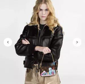 Louis Vuitton Mini Pochette Accessoires Vivienne Christmas - Picture 1 of 15