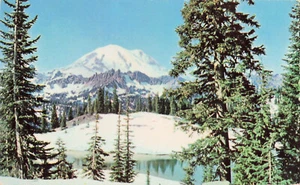 Tipsoo Lake and Mt Rainier P1120 Smith Plastichrome  Postcard - Picture 1 of 2
