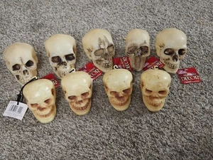 9 Halloween Decoration Plastic Skulls The Gothic Collection  - Picture 1 of 9