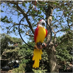 Hanging Parrot Statue Sculpture on Metal round Ring Decor for Patio Garden Lawn - Picture 1 of 7