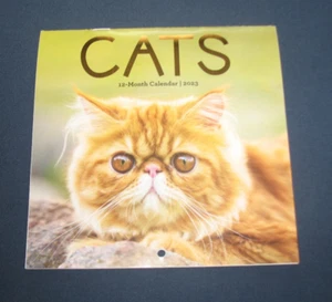 Cat pictures from a 2023 mini calendar - Picture 1 of 5