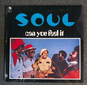 S.O.U.L. – Can You Feel It LP. (Mint) UK BGPD 1107. Rare deep funk / soul / R&B - Picture 1 of 2
