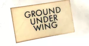 Aviation Aircraft NOS Placard - 5501001-17 Ground Under Wing 2 Pack - Picture 1 of 5